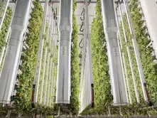 Robotic Bees Could Support Vertical Farms Today and Astronauts Tomorrow