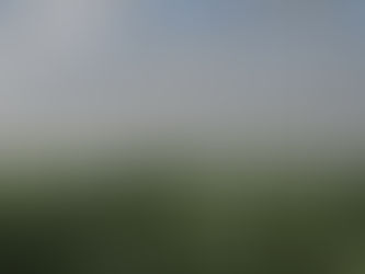 The Benefits of an Automated Greenhouse in Commercial Growing