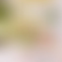 Shooting @Hôtel Napoléon