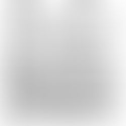 杉戸宿案内人と歩く「まち歩き」団体申込書