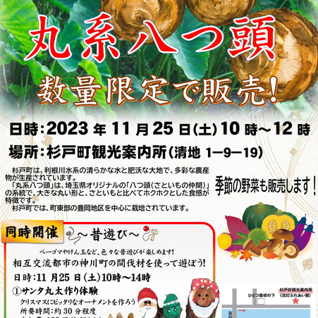 11月の旬フェアのご案内です！