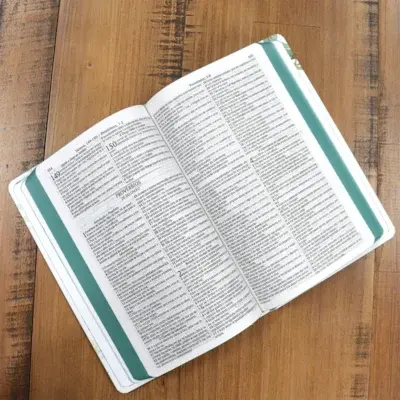 Miniatura: Bíblia Sagrada | ARC | Letra Normal | C/ Harpa Avivada e Corinhos | Magnólia bco