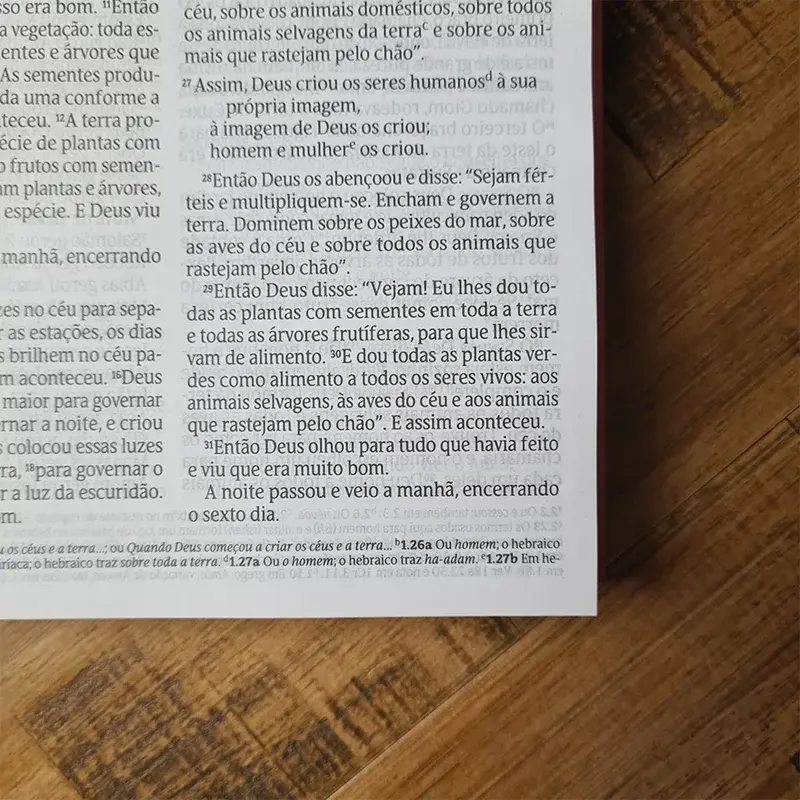 Miniatura: Bíblia 365 Para Corajosas | NVT | Letra Grande | Capa Brochura