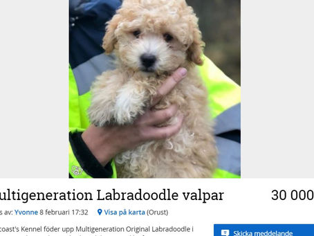 Liten fundering bara...