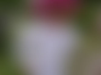 En stor dag - Adrian 6 år