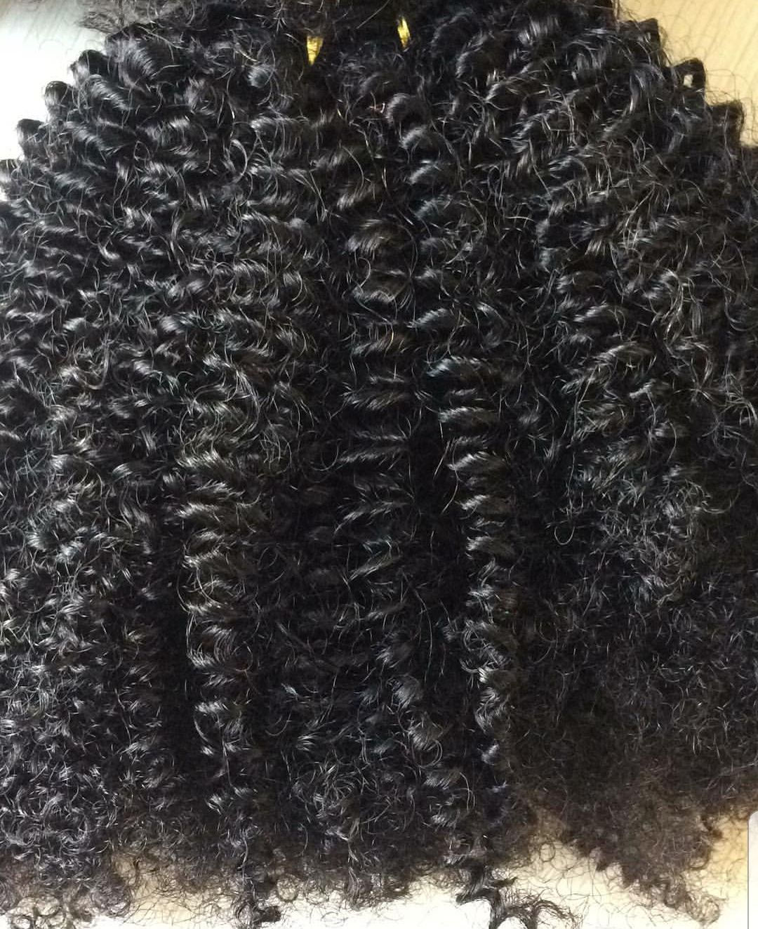 "Nubian Curl" Coily Curly