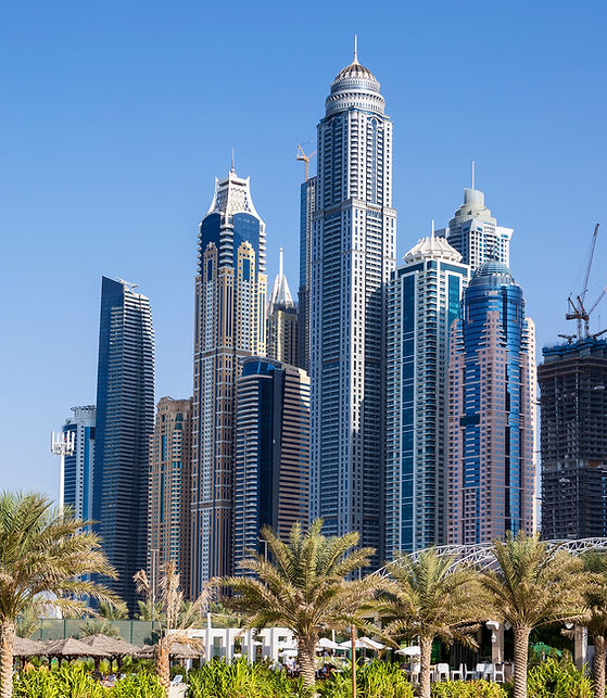 skyscrapers-palm-trees-dubai-uae.jpg