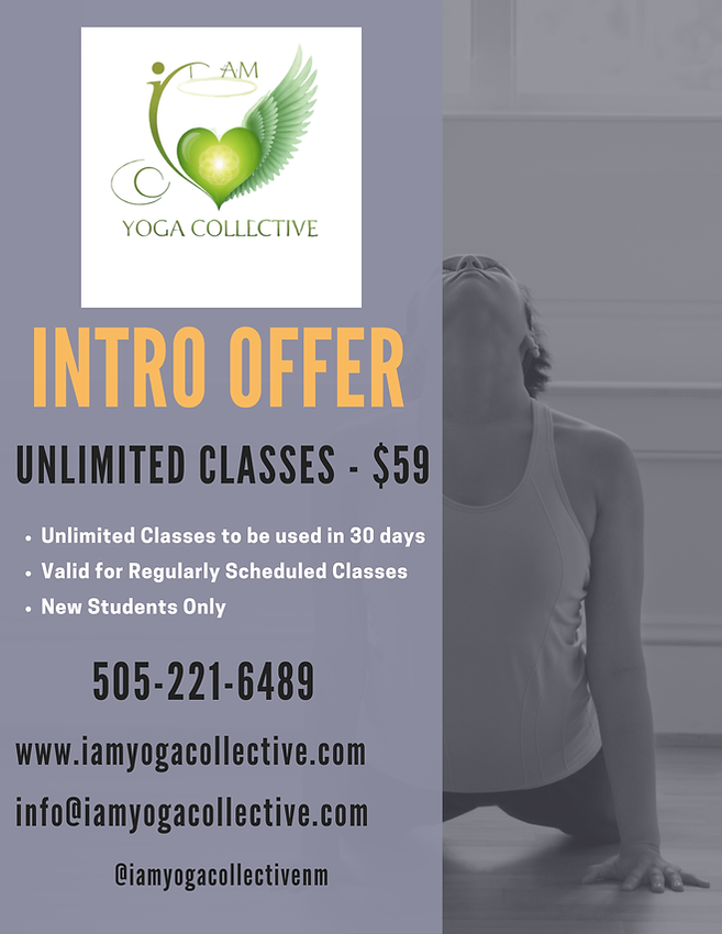 Intro Offer Flyer.png