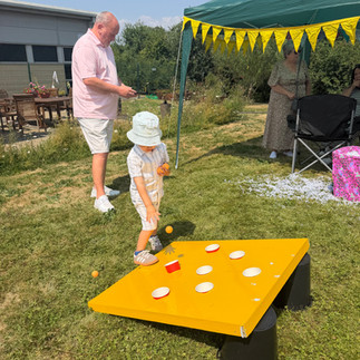 Pot a Ping Pong