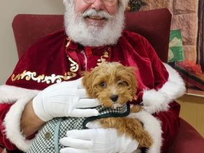 Christmas Market 2024