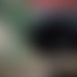 Sloth Bears are vulnerable!