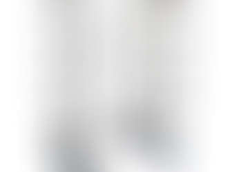 wózek wędzarniczy z regulacją wysokości