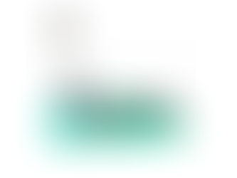 Mata dezynfekcyjna Cleanmaster FLEX