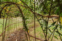 Outdoor crafted maze for children to run through - outdoor play area