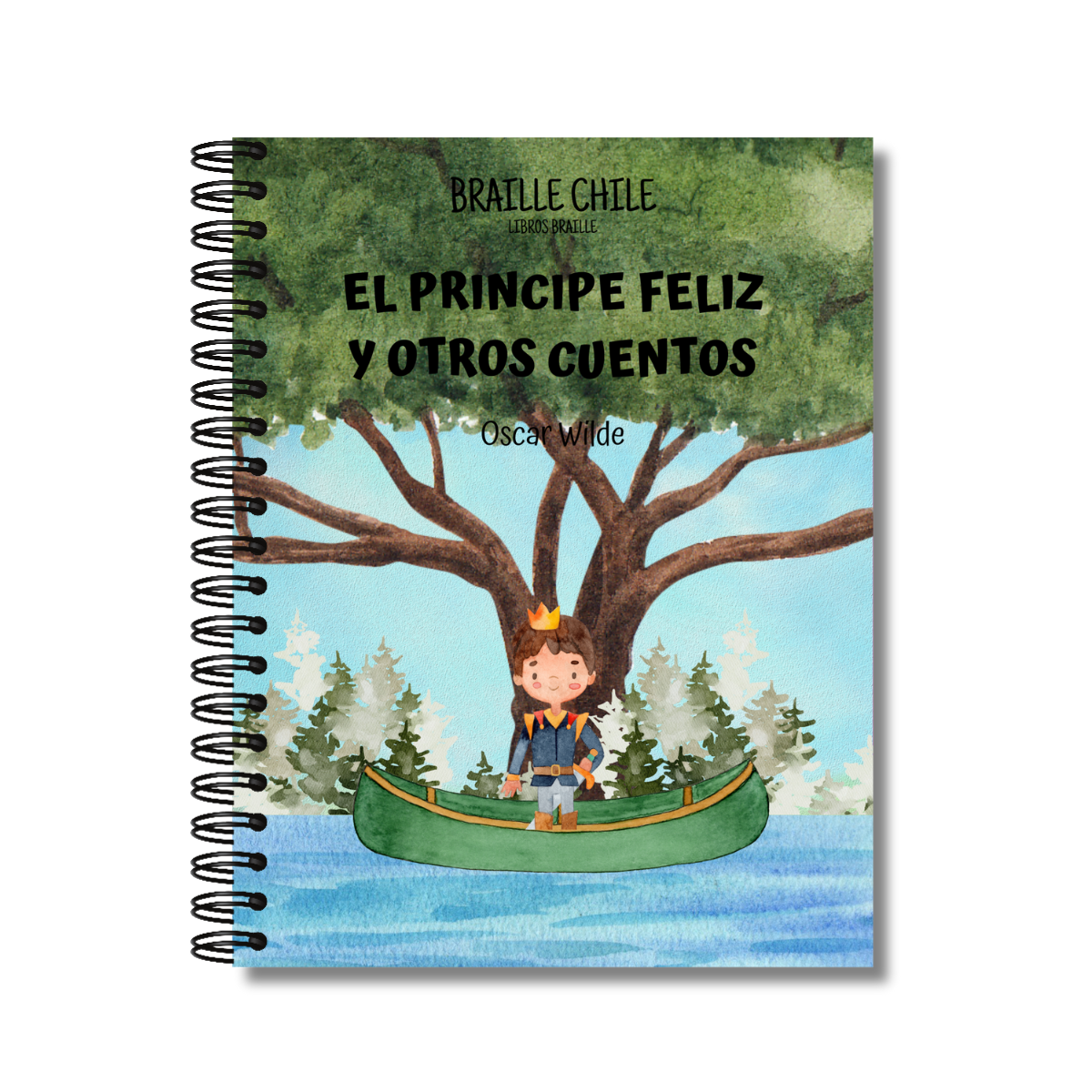 El príncipe feliz y otro cuentos en braille