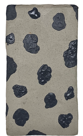 Untitled_Artwork 1 (1).png