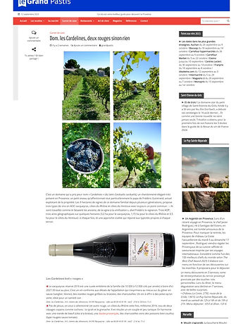 page site web