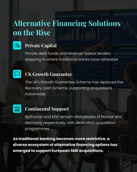 Overview of non-bank SME financing including private debt, government guarantees, and public program