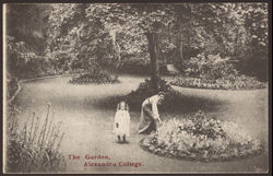 The Garden Alexandra College Postcard