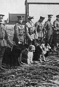 British War Dogs School Image