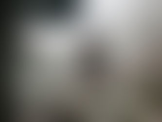 The Caged Bird Devours