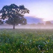 Peace that Passes Understanding