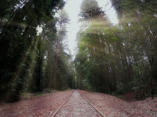 A Long Walk to Understanding