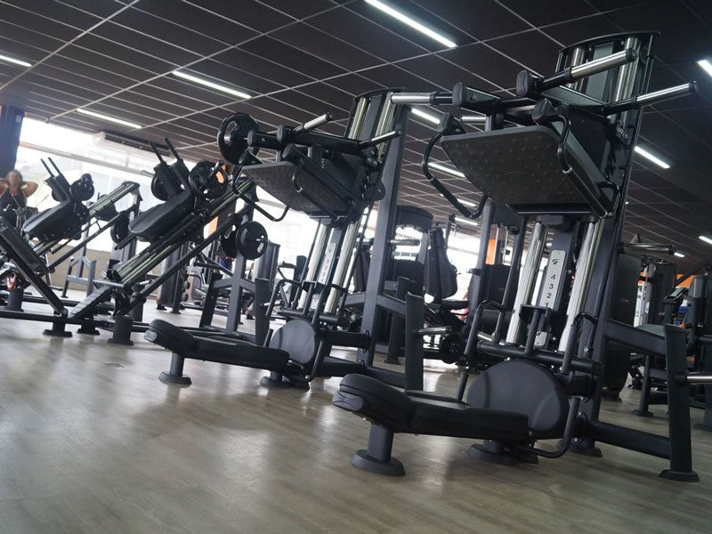 academia-hercules-mssh.jpg