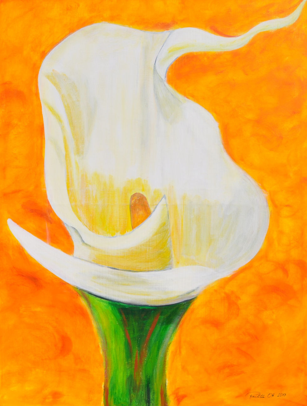 Calla