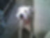OJ 2023-09-30_20.heic