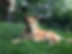 OJ 2023-09-30_20.heic