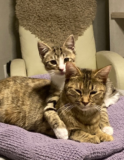 Isa and Callie 2.jpg