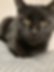 Samson