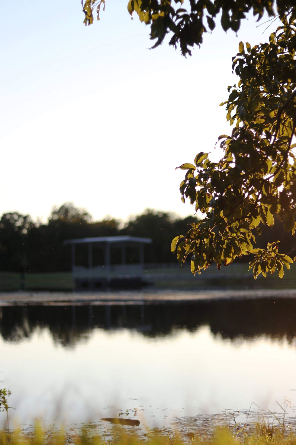 lake at golden hour