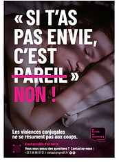 Affiches NPNS.png