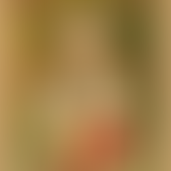 São Celestino - 28 de Julho