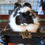 Thumbnail: Wonderland Rabbit Face