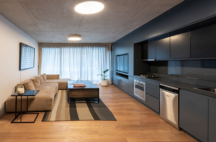 mueble de tv laqueado gris oscuro. a medida en buenos aires. cielorraso de hormigon visto. piso de madera patagonia flooring.