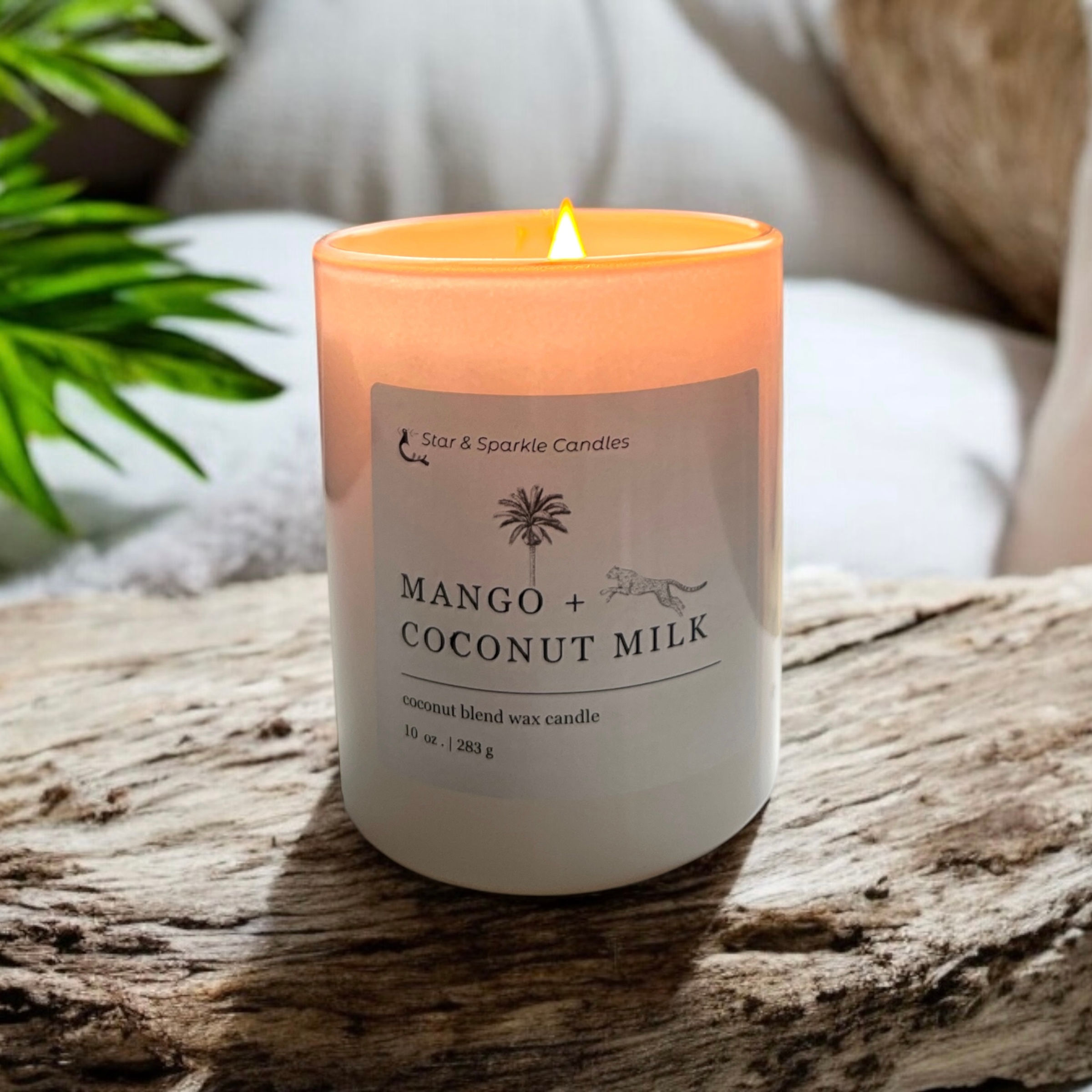 Mango & Coconut Milk scented candle