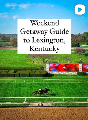 Content Creator Partnerships