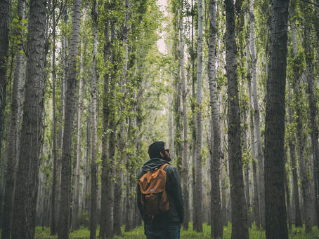 Embracing the Beauty of the Unknown