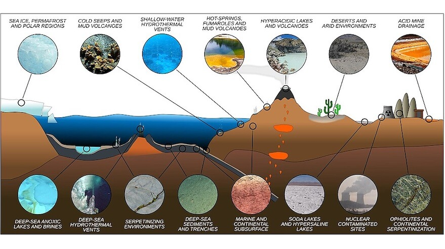 Bacteria found in different environments.