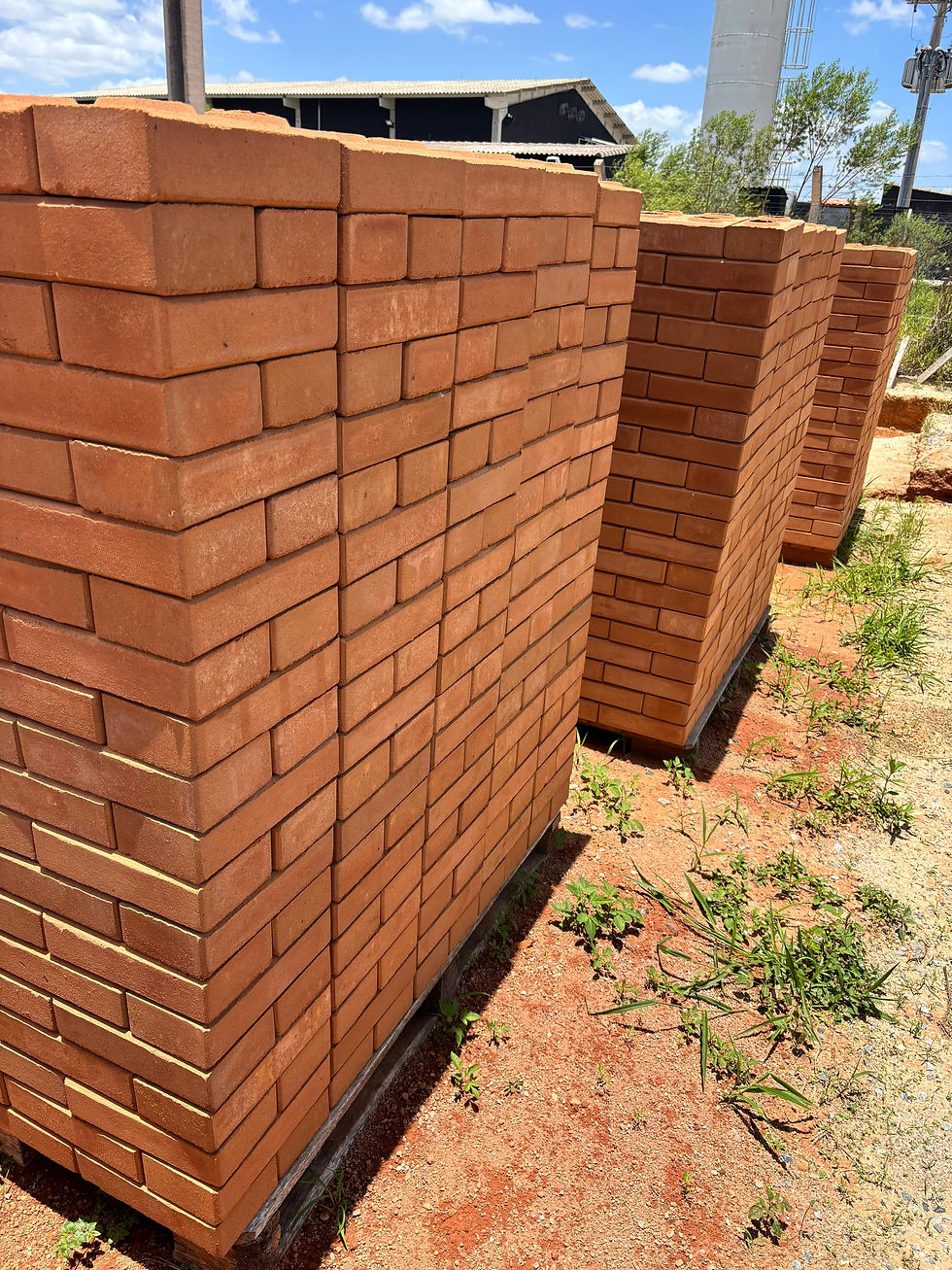 WhatsApp Image 2025-11-20 at 11.59.25