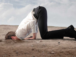 Sciences cognitives & développement durable