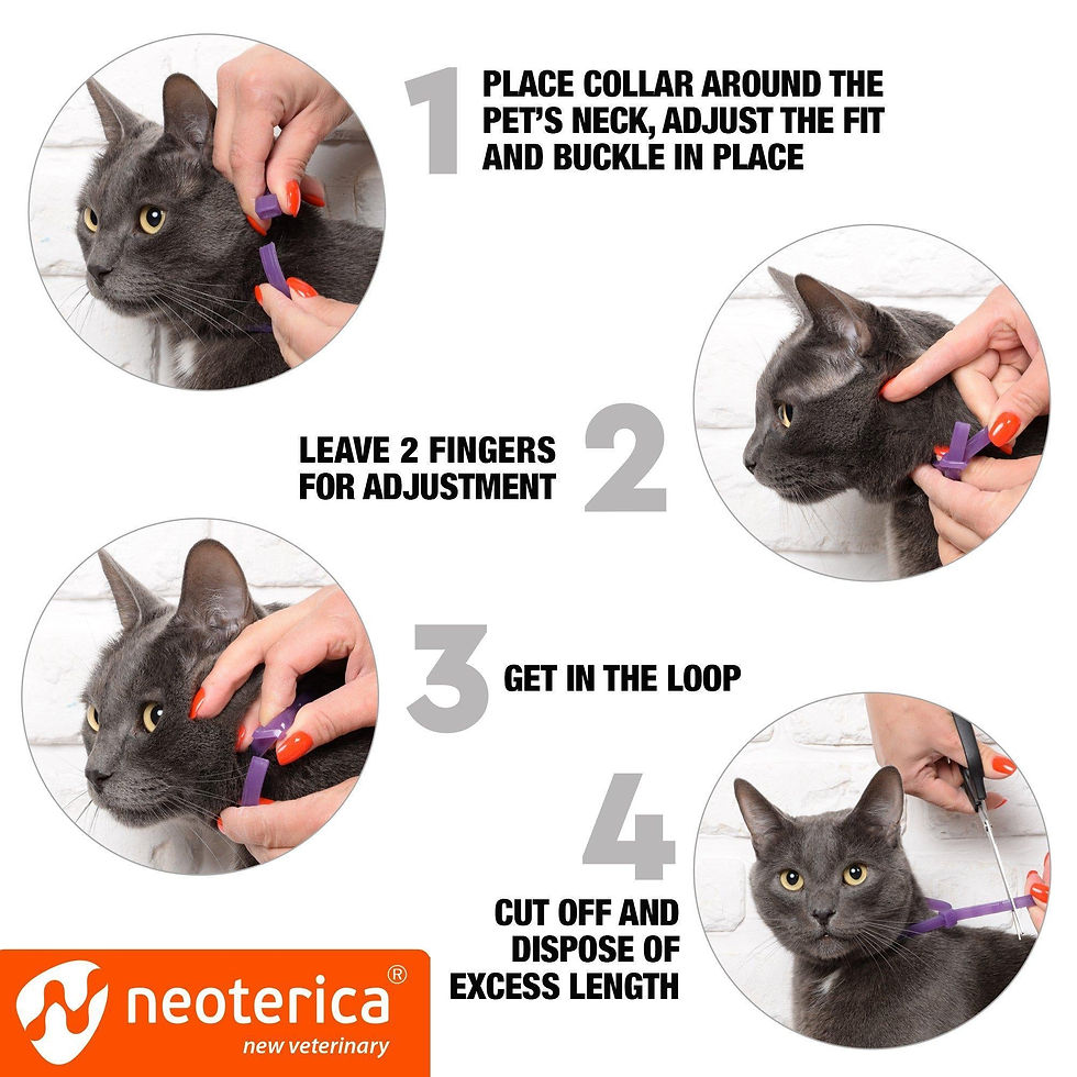 Thumbnail: Cat Calming Collar Pet Anti Anxiety Products Feline Calm Pheromones Collars 1 Pc