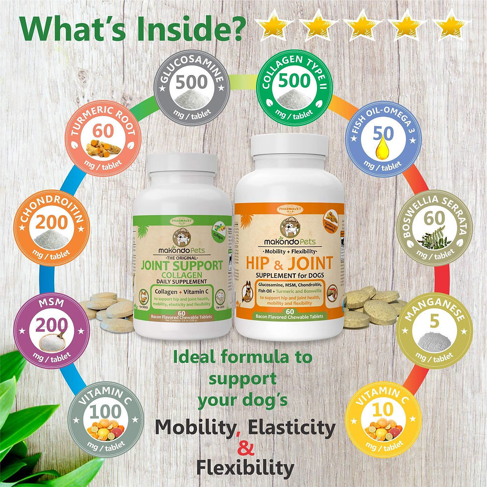 Thumbnail: Hip and Joint Supplement for Dogs with Chondroitin Collagen for Dogs Turmeric