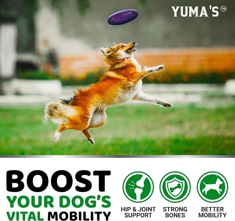 Thumbnail: 2 Pack Glucosamine for Dogs with Chondroitin Joint Pain Relief Made in USA