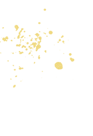 Copy of chi's logo (4)_edited.png