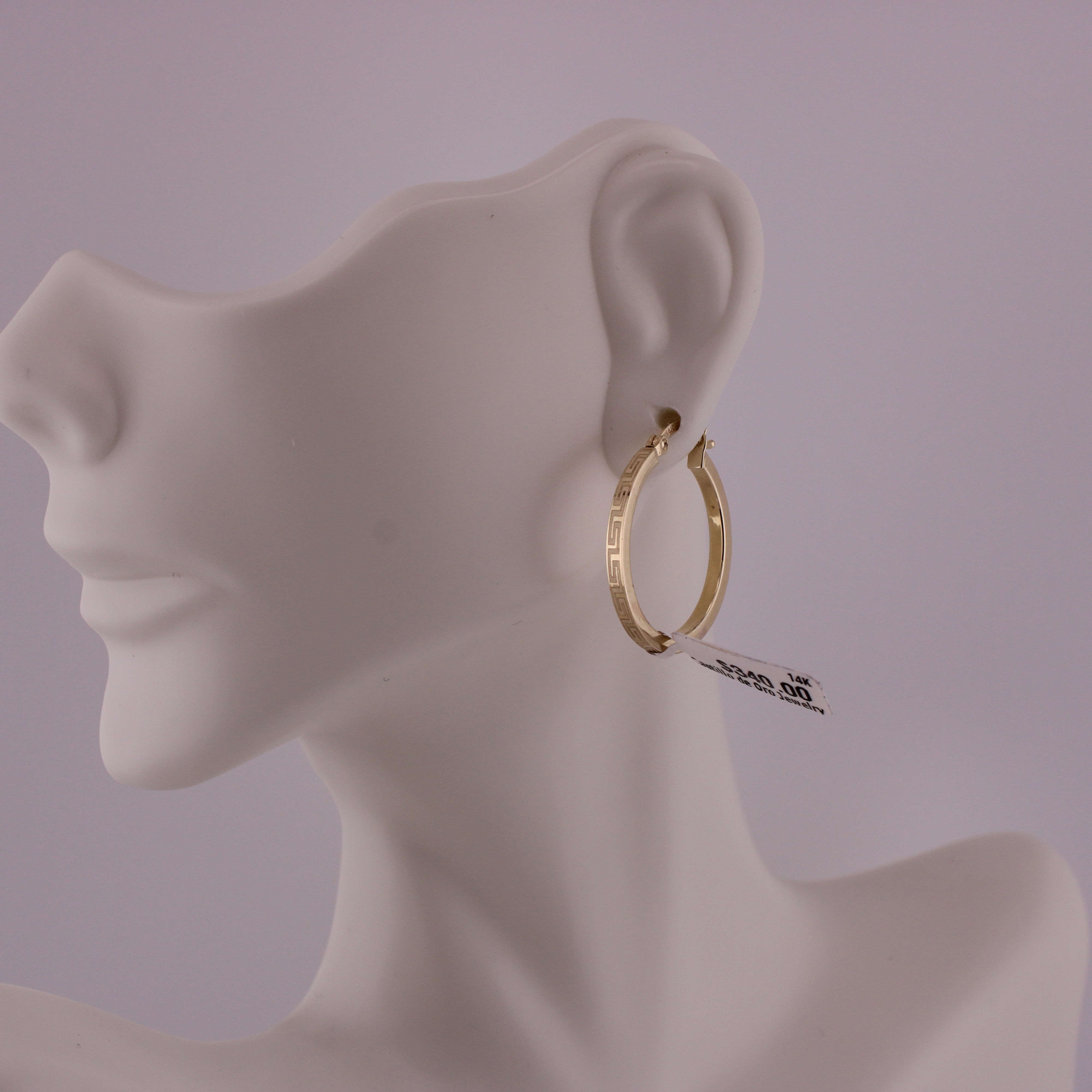 Women's Hoops in 14k gold