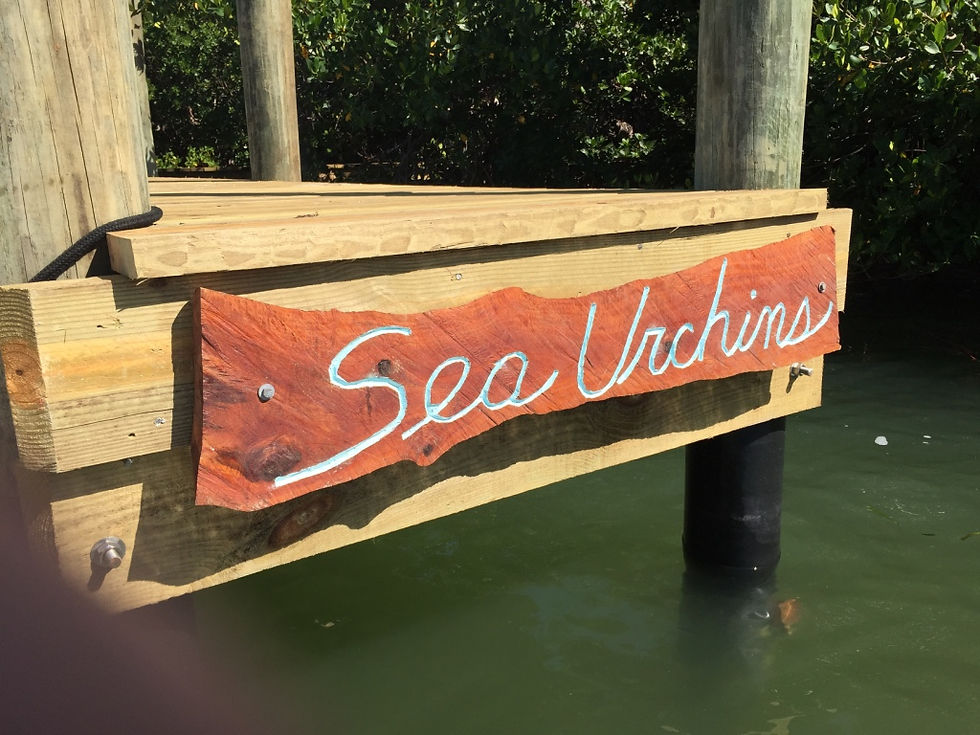 Private Dock on Property